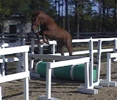 Flinghfreejumping2.jpg