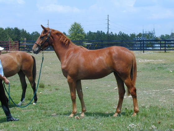 Libby2007.JPG