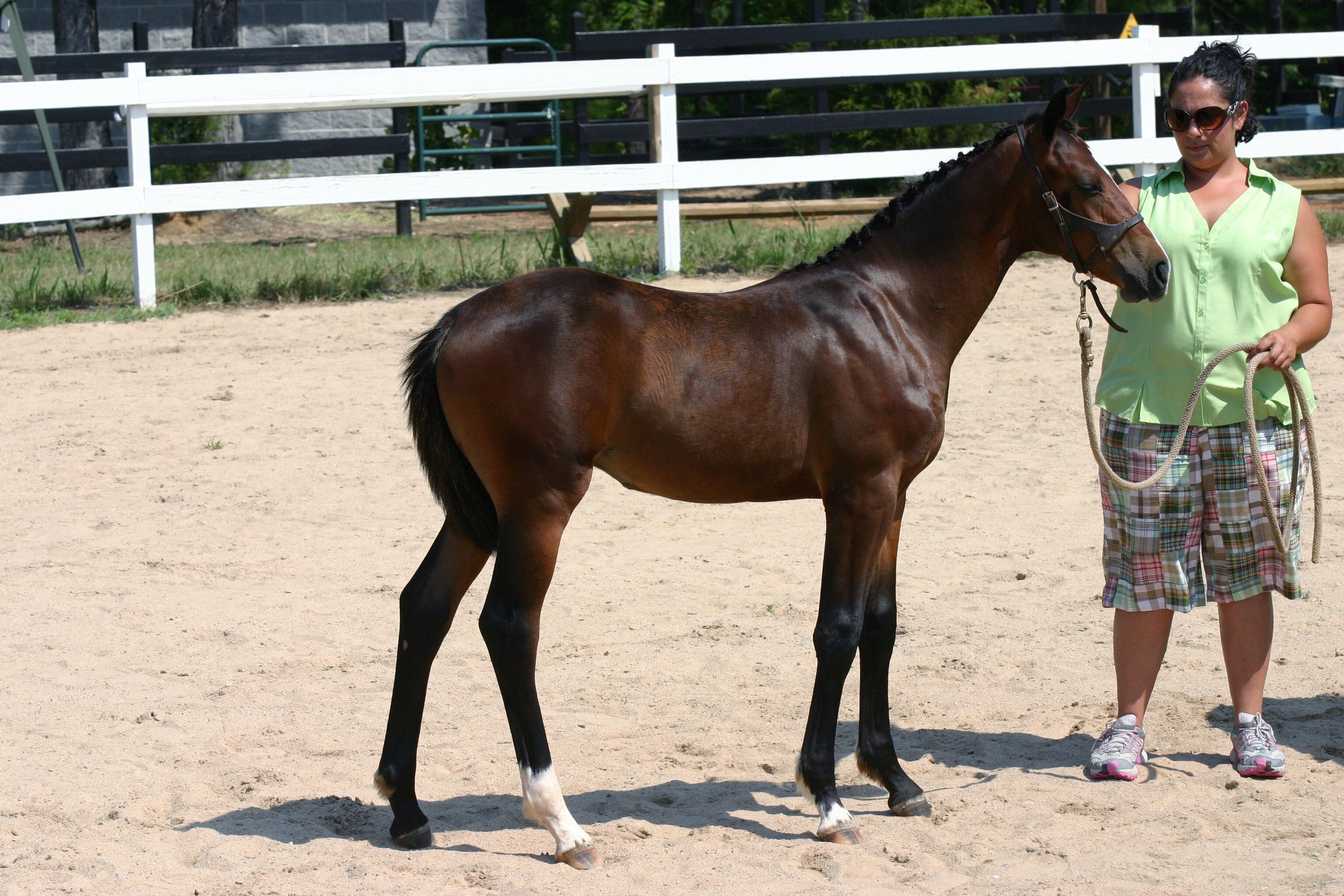BaltaCzarfilly.JPG