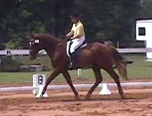 Flinghsfirstshow001.jpg