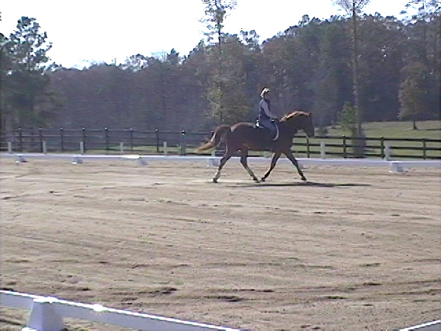 Tigger2006002.jpg