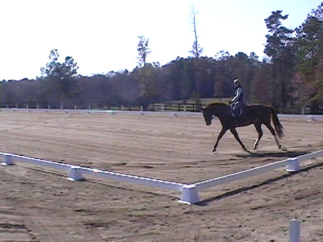 Tigger2006003.jpg