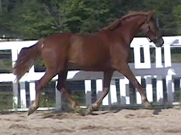 lIBBY208.jpg